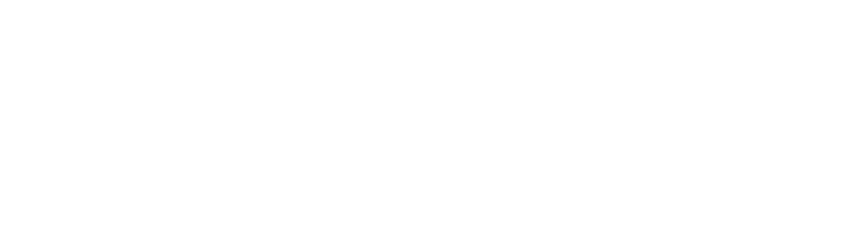 itpatagon.com